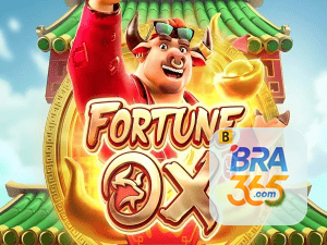 BRA365 login — painel de entrada no app oficial